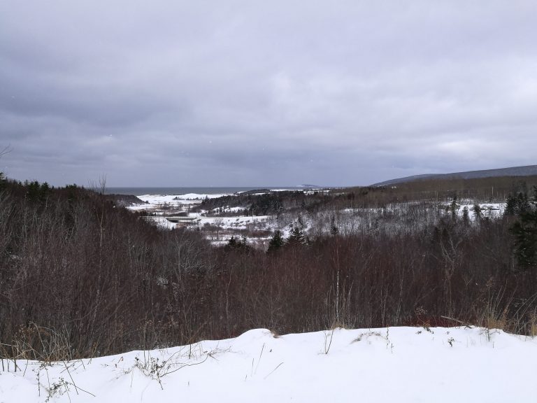 Snow-covered wooded valley above the former coal mining community of Inverness, Nova Scotia